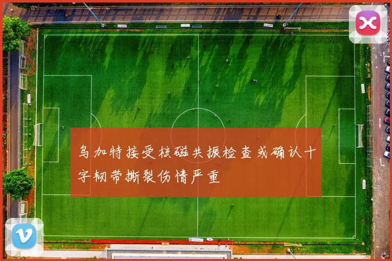 乌加特接受核磁共振检查或确认十字韧带撕裂伤情严重
